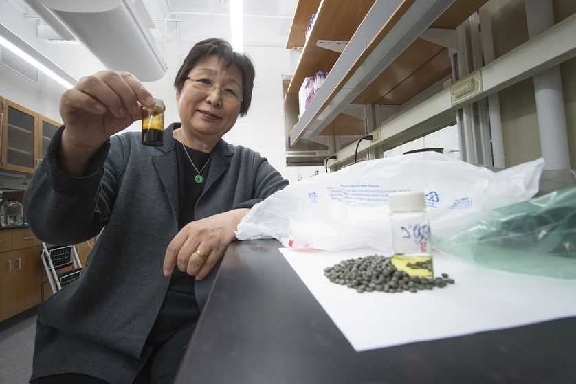 这项巧妙的技术可以把塑料垃圾变成清洁的燃料