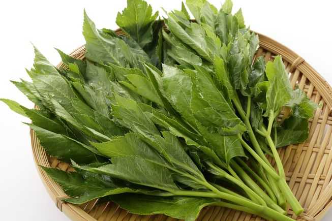 这种植物真的能帮助我们长生不老(或者至少更长寿)吗?