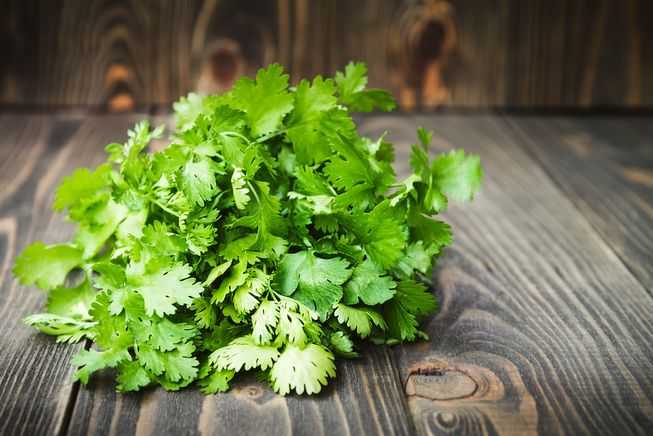 不喜欢吃香菜(或其他味道)可能是遗传的