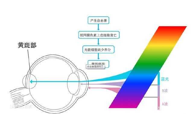 手机和电视液晶屏哪个更伤眼?