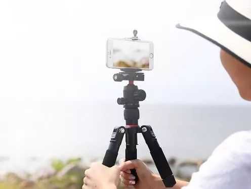 直播谁的世界，偷窥谁的活法儿