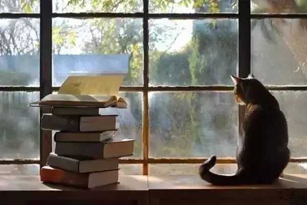 读书笔记的人生悖论