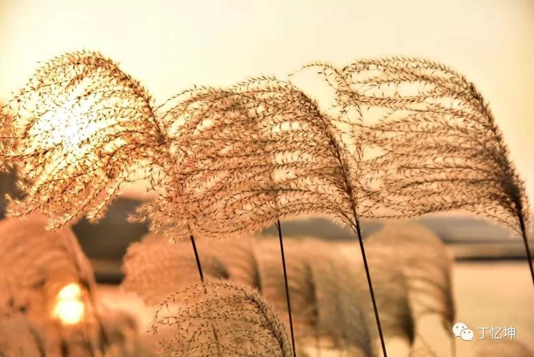 面对人生中那么多的坑,父母应该教会孩子的那些事