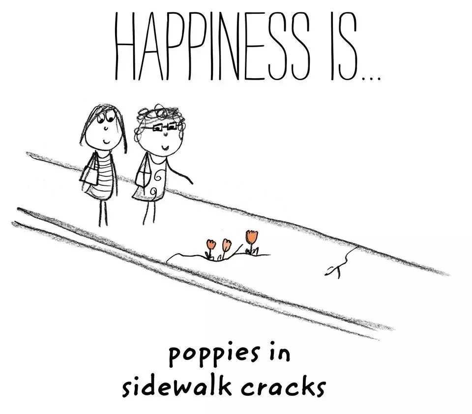 生活中的小确幸