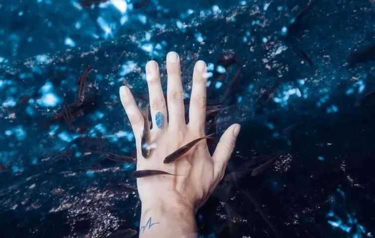 三条鱼的故事，看哭了！