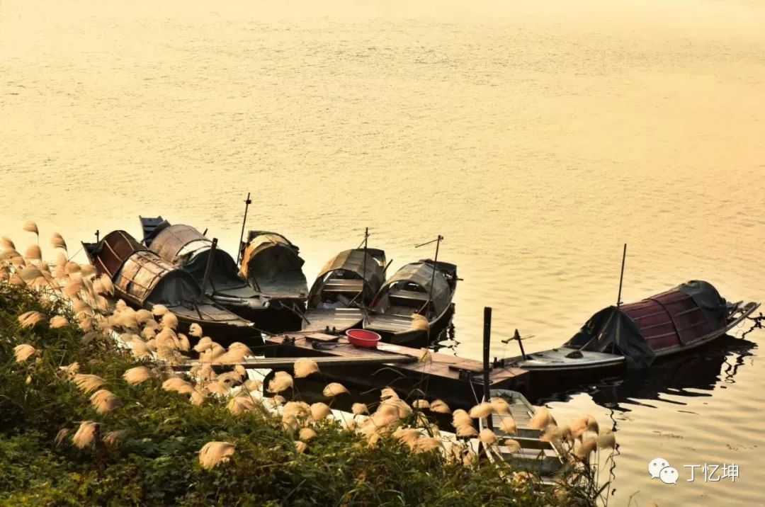 读杨绛散文集有感