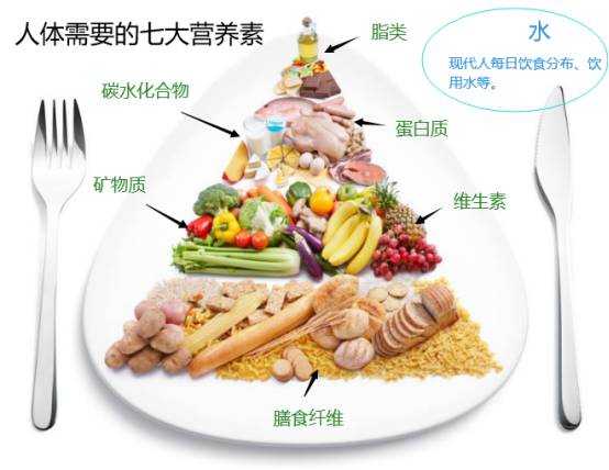 学会吃瘦,从导致长胖的源头开始