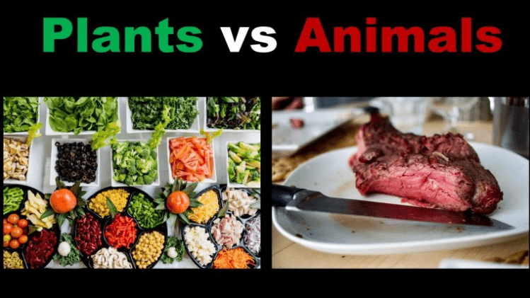吃肉变瘦,背后的6个科学依据,很多人都不知道...