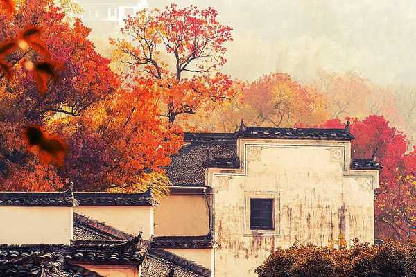 梦中一直在憧憬能再一次看到漂亮的建筑