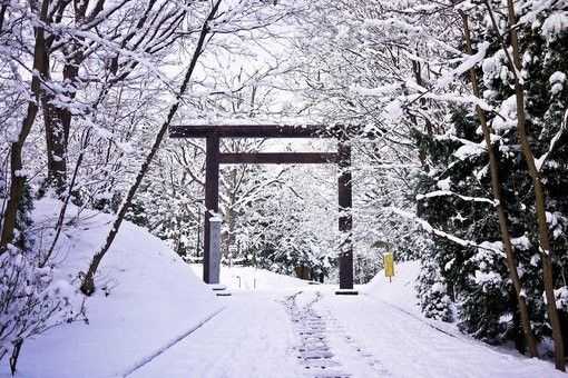 雪后的唯美村庄犹如银装素裹的童话世界 冬季乡村雪景图