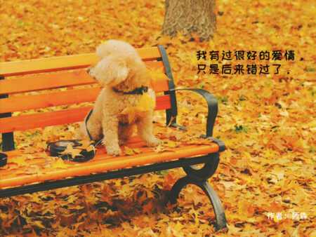 夜读故事:我有过很好的爱情,只是后来错过了。插图 夜读故事:我有过很好的爱情,只是后来错过了。
