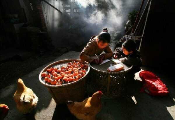 情感夜读:不要对一个人过于太好插图1 不要对一个人过于太好