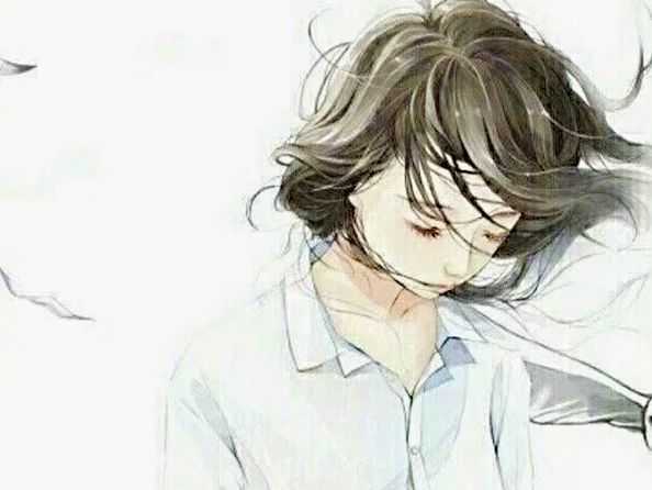夜读情感短文:我实在不愿错过你。插图 我实在不愿错过你。