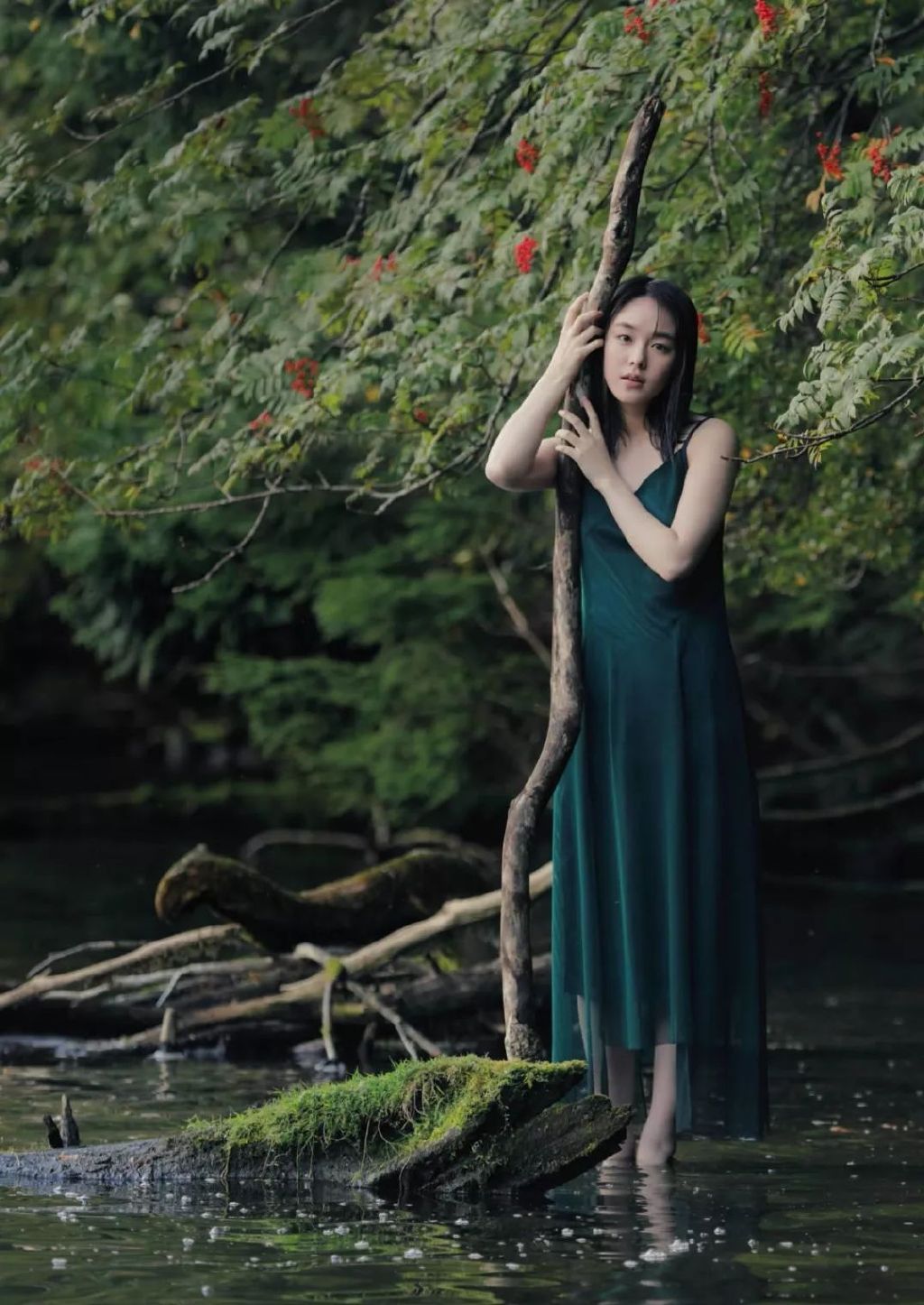 「原色美女图鉴」第一弹