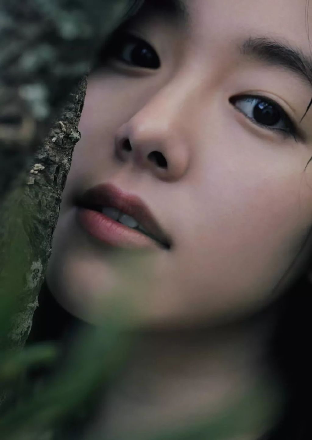 「原色美女图鉴」第一弹