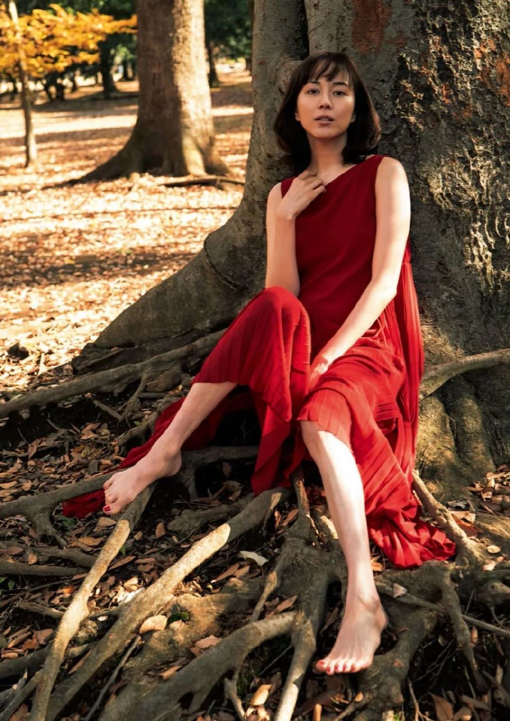 「原色美女图鉴」第一弹