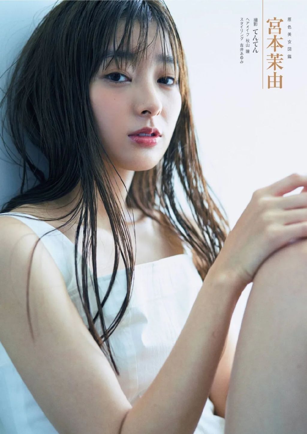 「原色美女图鉴」第八弹