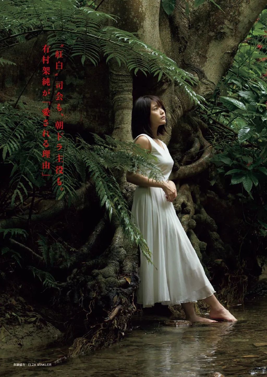 「原色美女图鉴」第八弹