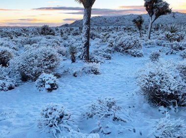 沙漠里下雪的冬天