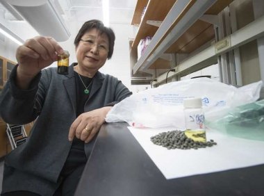 这项巧妙的技术可以把塑料垃圾变成清洁的燃料