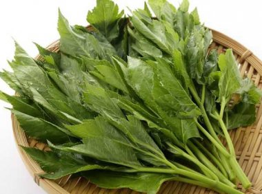 这种植物真的能帮助我们长生不老(或者至少更长寿)吗?