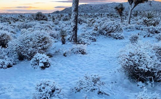 沙漠里下雪的冬天