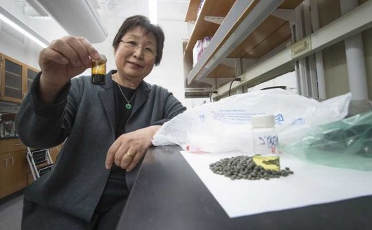 这项巧妙的技术可以把塑料垃圾变成清洁的燃料