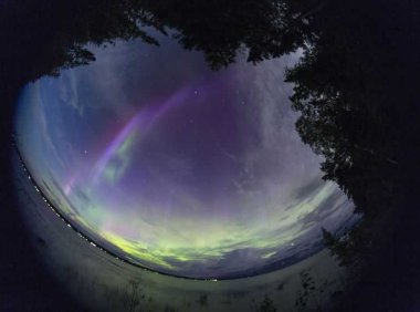 “史蒂夫”和极光有什么不同?