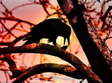 音乐推荐：《Dangerously》Charlie Puth