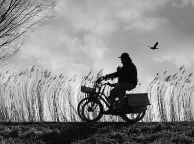 纯音乐：《Tale》