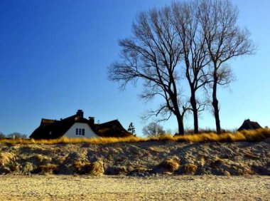 歌声犹如走进了童话世界英文歌曲:《The Moss》Cosmo Sheldrake