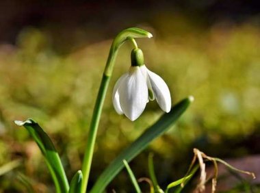 音乐推荐《The Deeper Level》Jodymoon