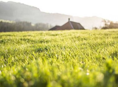 音乐推荐:与心灵对话,百般滋味萦绕《I Am You》Kim Taylor