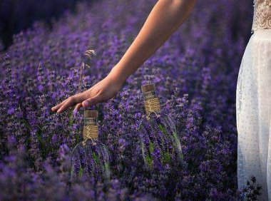 音乐推荐:《Bang Bang》Ariana Grande / Nicki Minaj / Jessie J