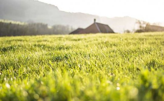 音乐推荐：与心灵对话，百般滋味萦绕《I Am You》Kim Taylor