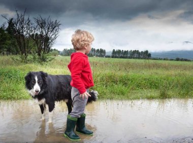 狗是保持活跃的秘密武器