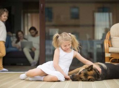 是否喜欢养宠物可能是基因决定的