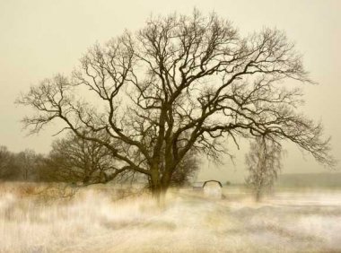 不去开始，你永远不知道等待你的是什么