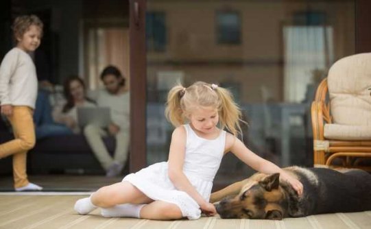 是否喜欢养宠物可能是基因决定的