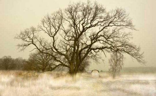 不去开始,你永远不知道等待你的是什么