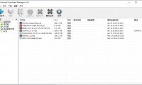 Internet Download Manager 6.33.2下载工具