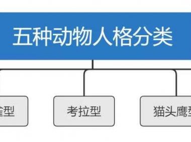 生活中怎样快速地观人识人？