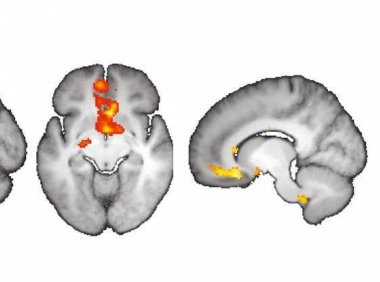 我们的想象力真的可以在神经层面上改变我们对现实的认知