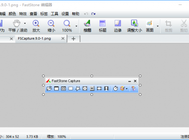 FastStone Capture 9.0图像浏览工具
