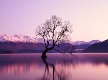 音乐推荐：《生命树》吴雨霏