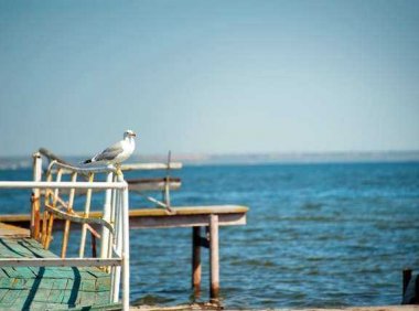 音乐推荐：《I Said Hi》Amy Shark