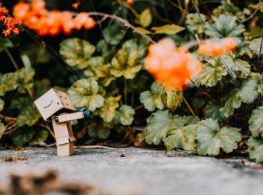 音乐推荐：《Apologize》OneRepublic