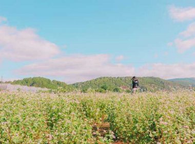 关于一个人去旅行的简短唯美文艺句子