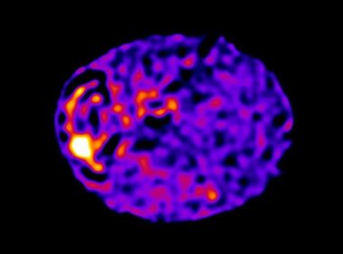 科学家们第一次观察到细胞复杂的信息传递系统