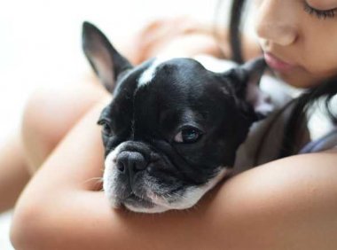 你的压力可能会让你的狗狗不堪重负